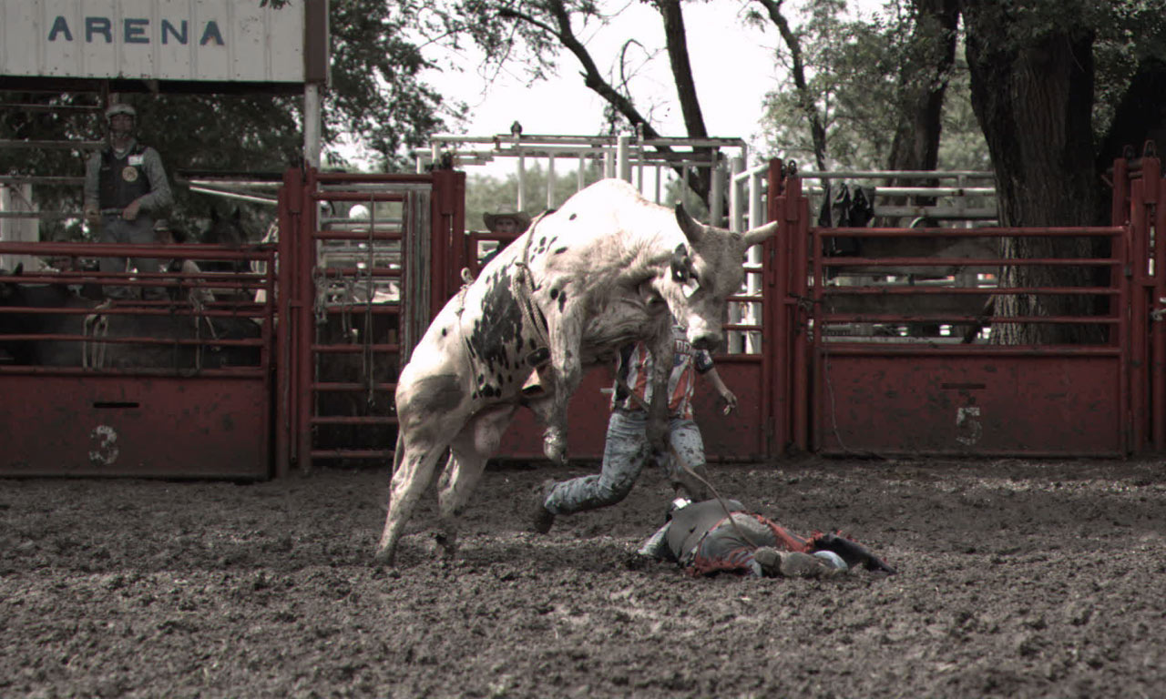 National Geographic: Dangerous Encounters, "Raging Bulls"